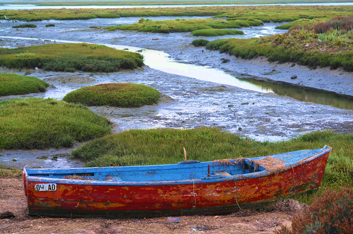 An der Algarve wird noch traditonell mit kleinen Booten im Atlantik gefischt